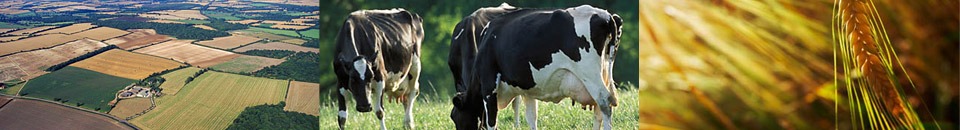 gallery/sites-default-themes-cjctheme-images-banners-default