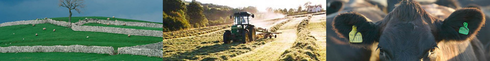 gallery/sites-default-themes-cjctheme-images-banners-small-1