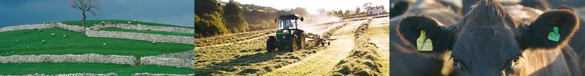 gallery/sites-default-themes-cjctheme-images-banners-small-1