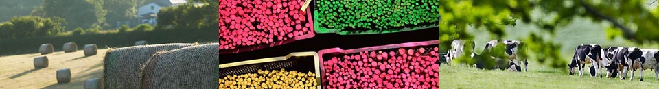 gallery/sites-default-themes-cjctheme-images-banners-small-1